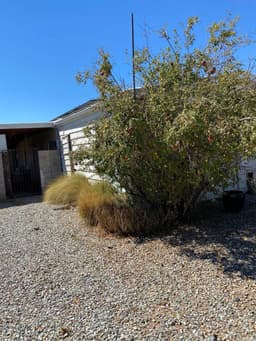 Eco-Friendly Landscaping Certification's image