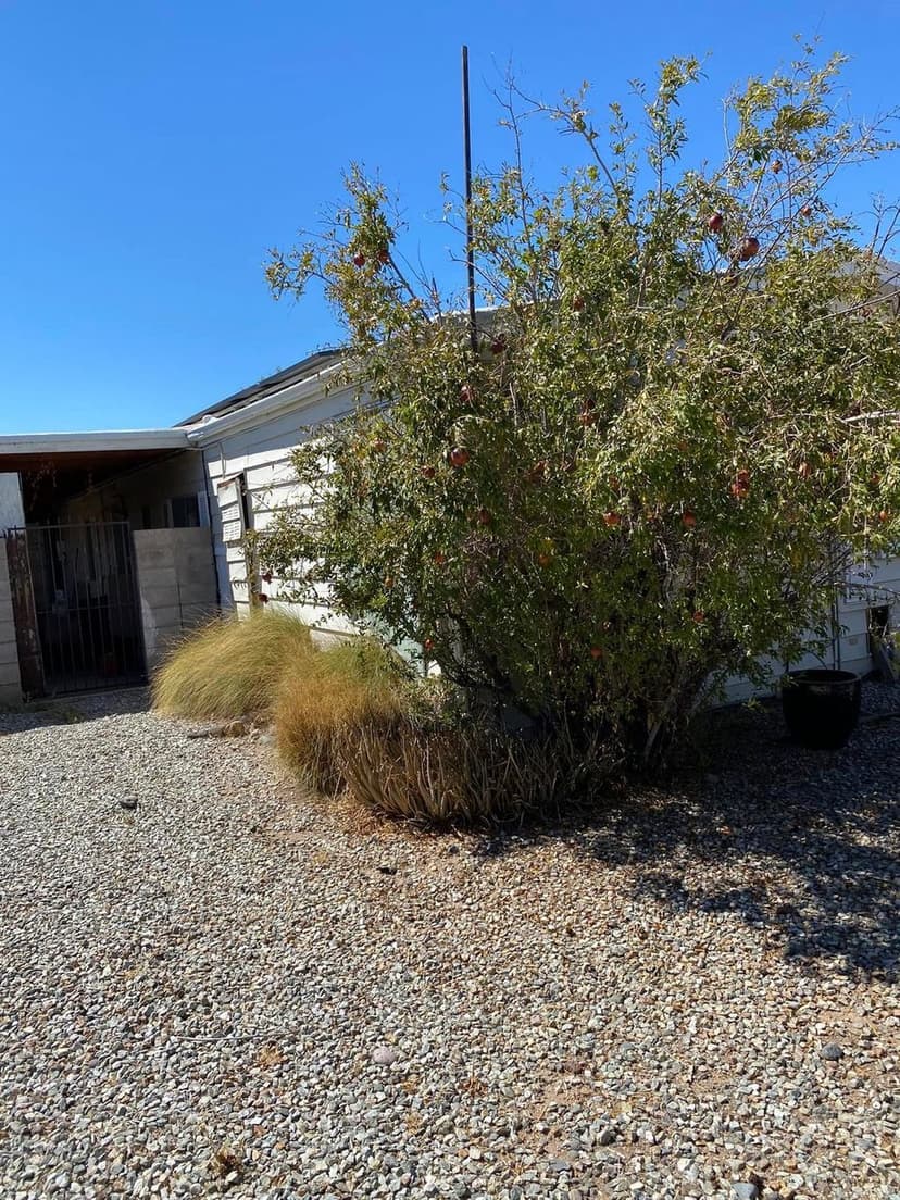 Eco-Friendly Landscaping Certification's image